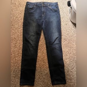 STS Blue skinny Jean from Stitch Fix